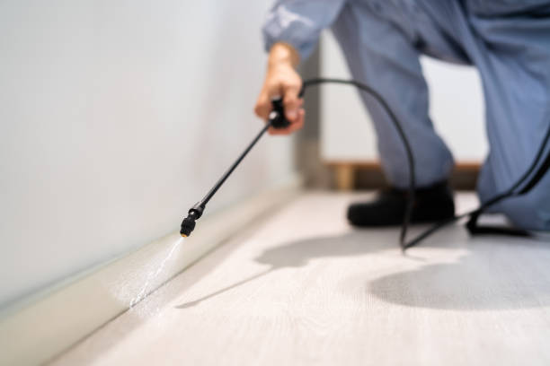 Licensed Termite Control service in Wheeler County County, GA - Nex Pest Control
