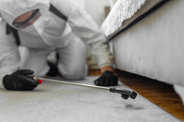 Professional Termite Control technician working in Wheeler County County, GA